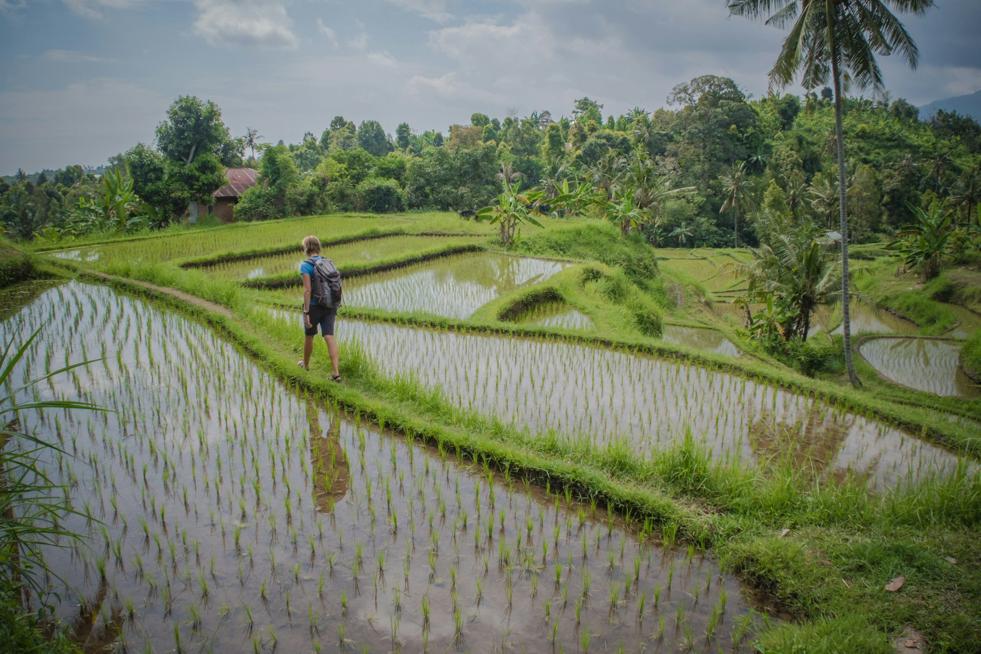 A traveler on a path through rice terraces in Bali, Indonesia