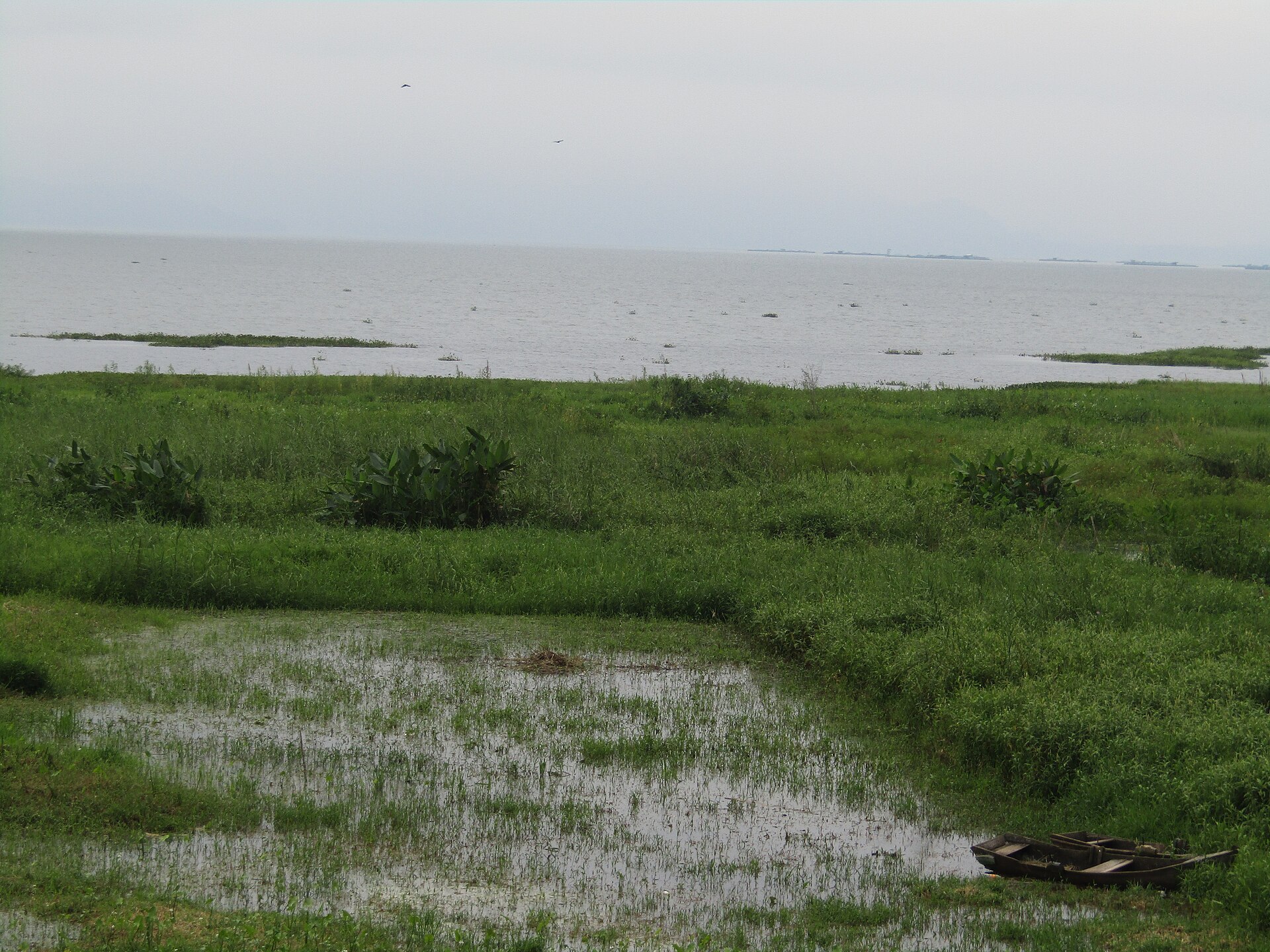 A green shoreline at Lake Yojoa, Honduras