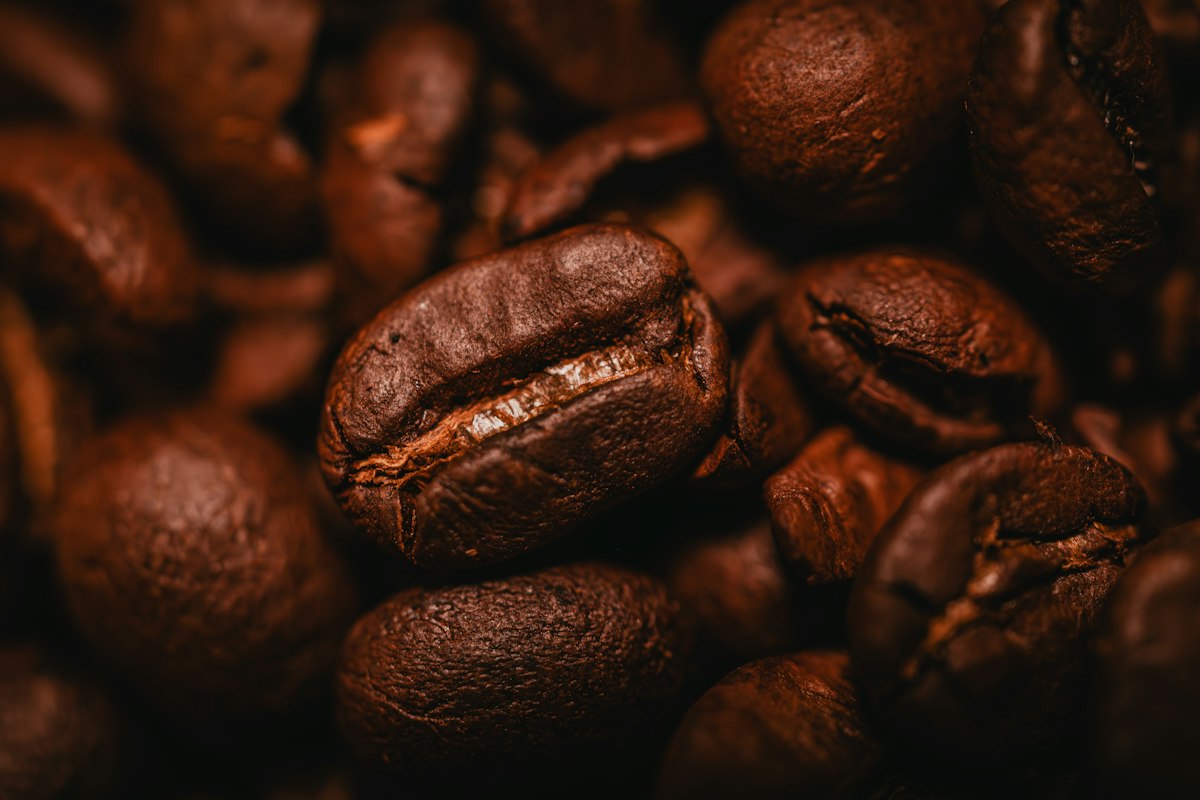 Close-up of roasted coffee beans